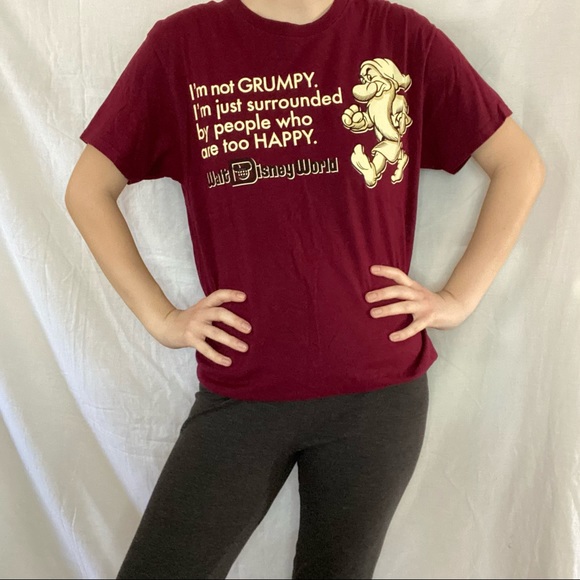 Walt Disney World Authentic Grumpy Graphic Tee - Picture 3 of 6